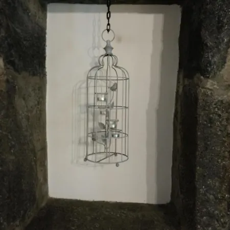 Quinta Dos Afectos Sao Vicente Ferreira