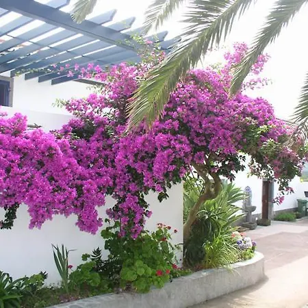 Quinta Dos Afectos