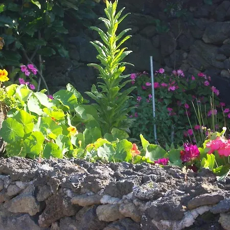 Quinta Dos Afectos *