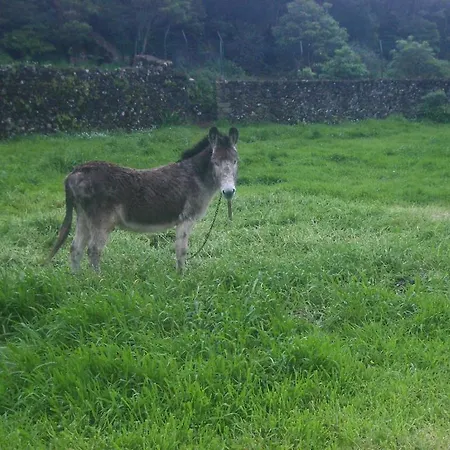 Quinta Dos Afectos *