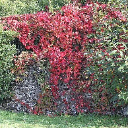 Quinta Dos Afectos Βίλα