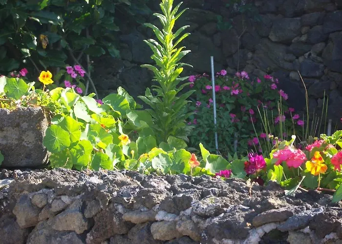 Quinta Dos Afectos *
