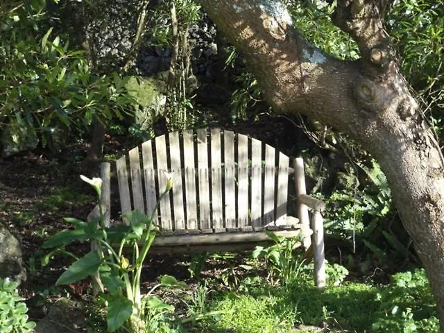 Quinta Dos Afectos Βίλα