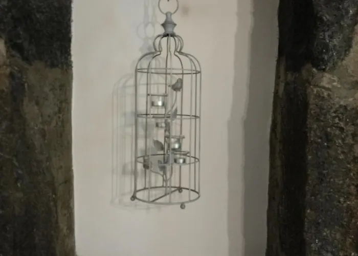 Quinta Dos Afectos São Vicente Ferreira