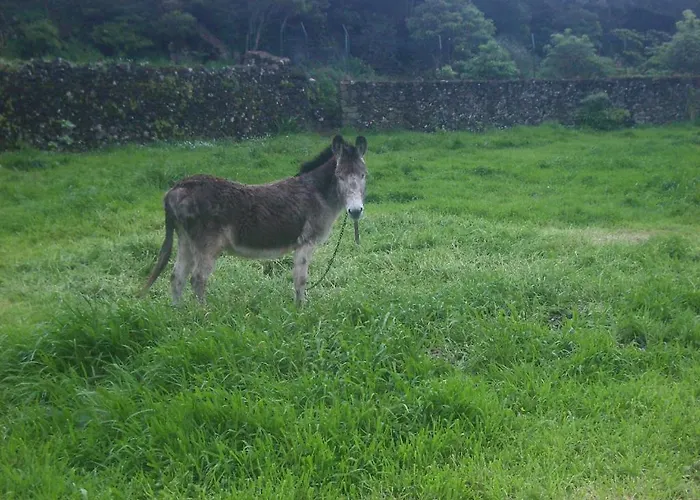 Quinta Dos Afectos *
