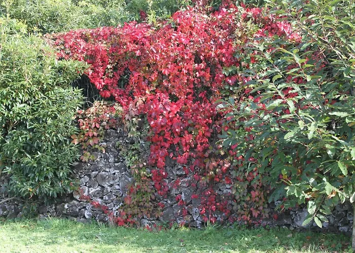 Quinta Dos Afectos Βίλα